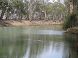 River at Balranald